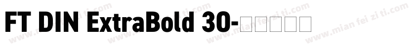 FT DIN ExtraBold 30字体转换